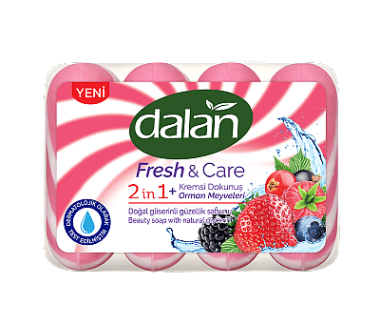 SAVON FRESH FRUITS BOIS 90GX4 DALAN